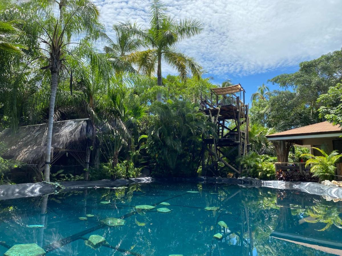 Jardin Secreto Centro Holistico Villa Acapulco Bagian luar foto