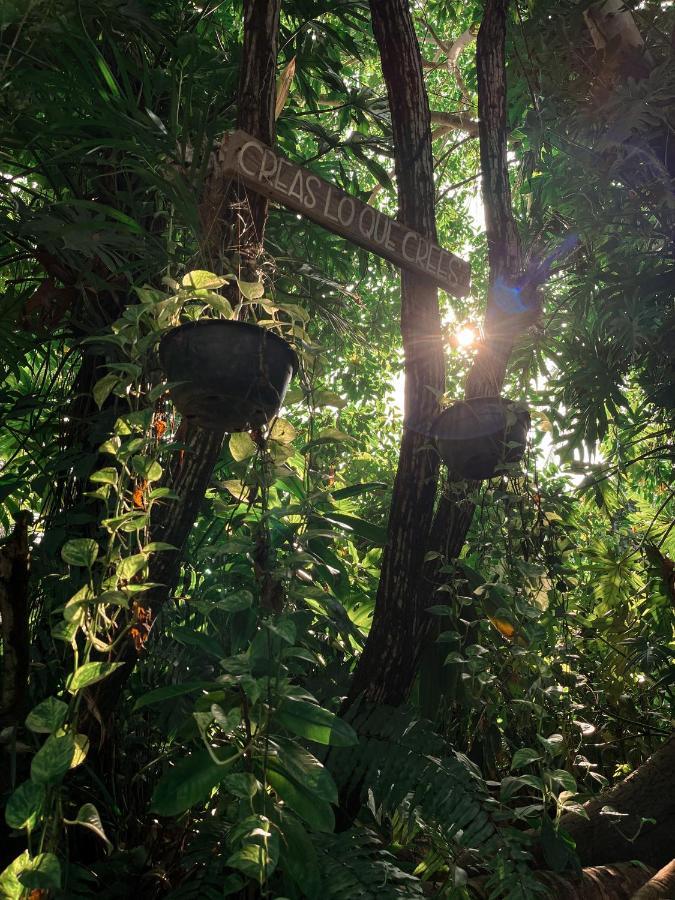 Jardin Secreto Centro Holistico Villa Acapulco Bagian luar foto