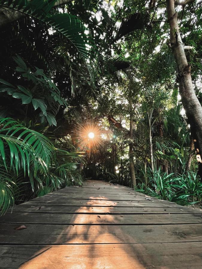 Jardin Secreto Centro Holistico Villa Acapulco Bagian luar foto