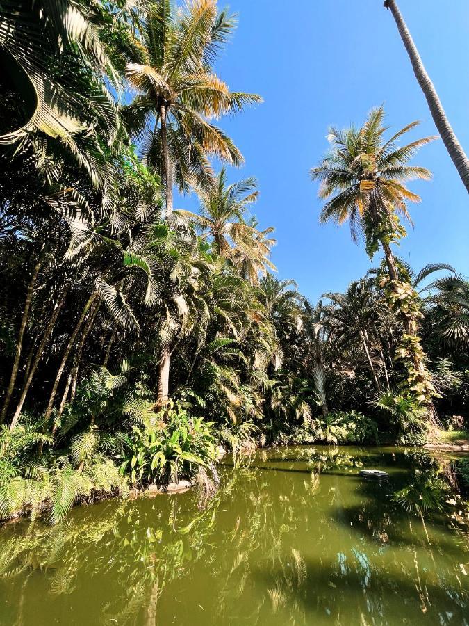 Jardin Secreto Centro Holistico Villa Acapulco Bagian luar foto