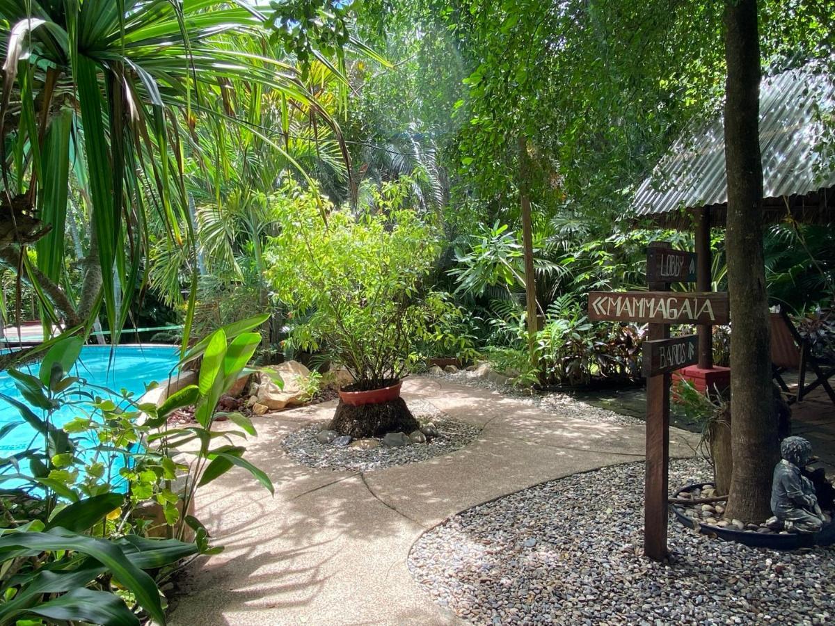 Jardin Secreto Centro Holistico Villa Acapulco Bagian luar foto