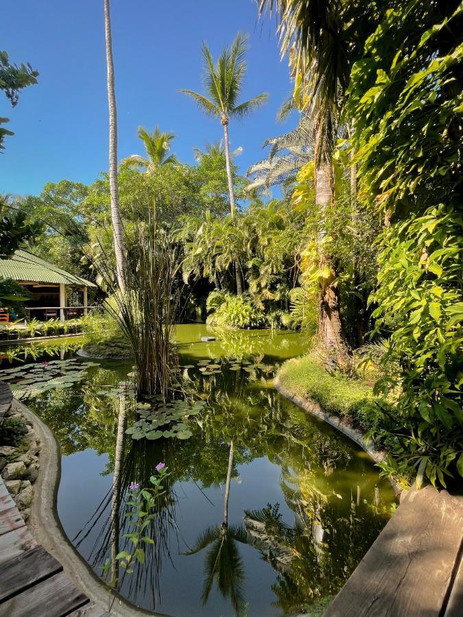 Jardin Secreto Centro Holistico Villa Acapulco Bagian luar foto