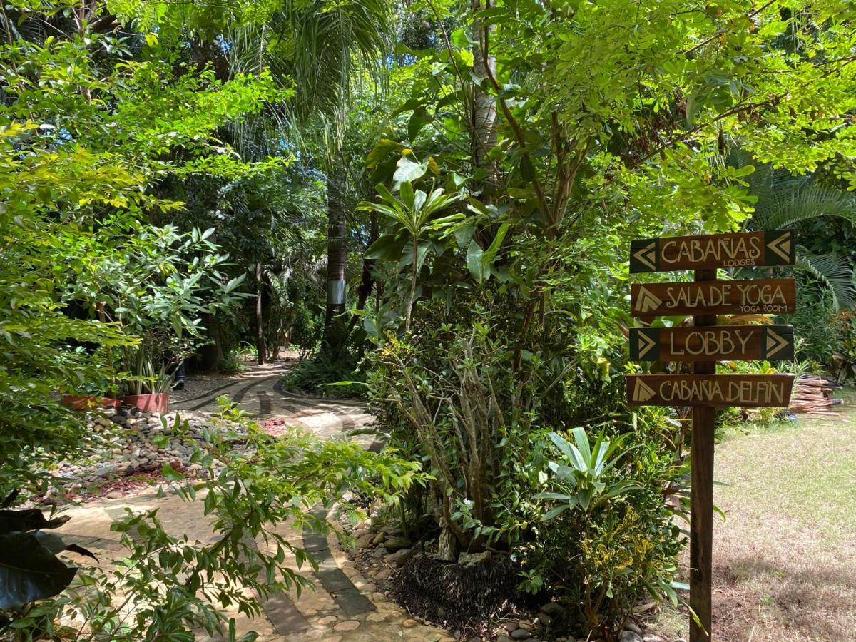 Jardin Secreto Centro Holistico Villa Acapulco Bagian luar foto