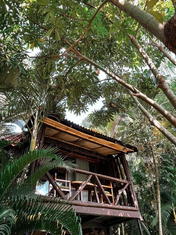 Jardin Secreto Centro Holistico Villa Acapulco Bagian luar foto