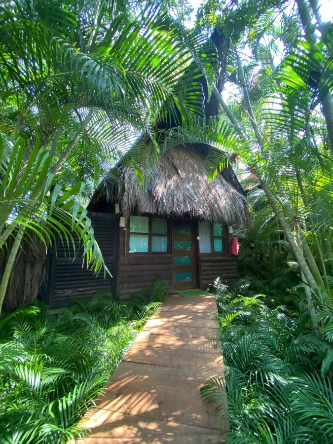 Jardin Secreto Centro Holistico Villa Acapulco Bagian luar foto