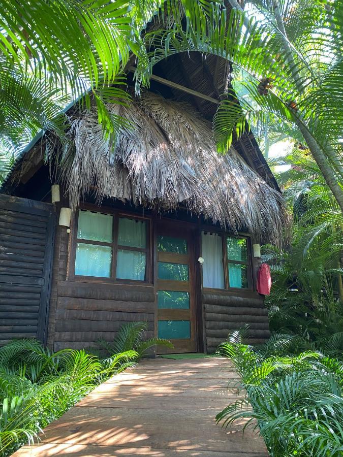 Jardin Secreto Centro Holistico Villa Acapulco Bagian luar foto